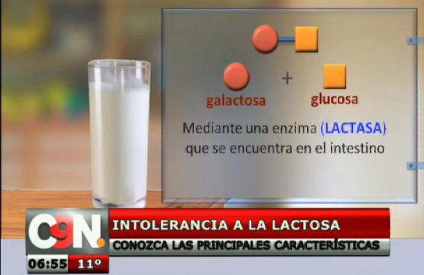 Los datos que desconocías sobre la intolerancia a la lactosa